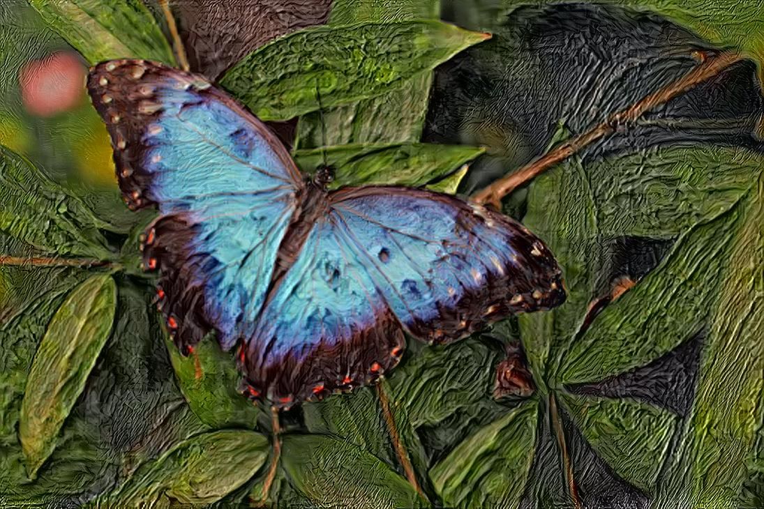 butterfly