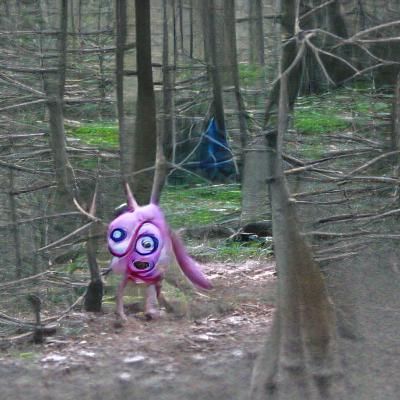 unsettling creature spotted in the woods