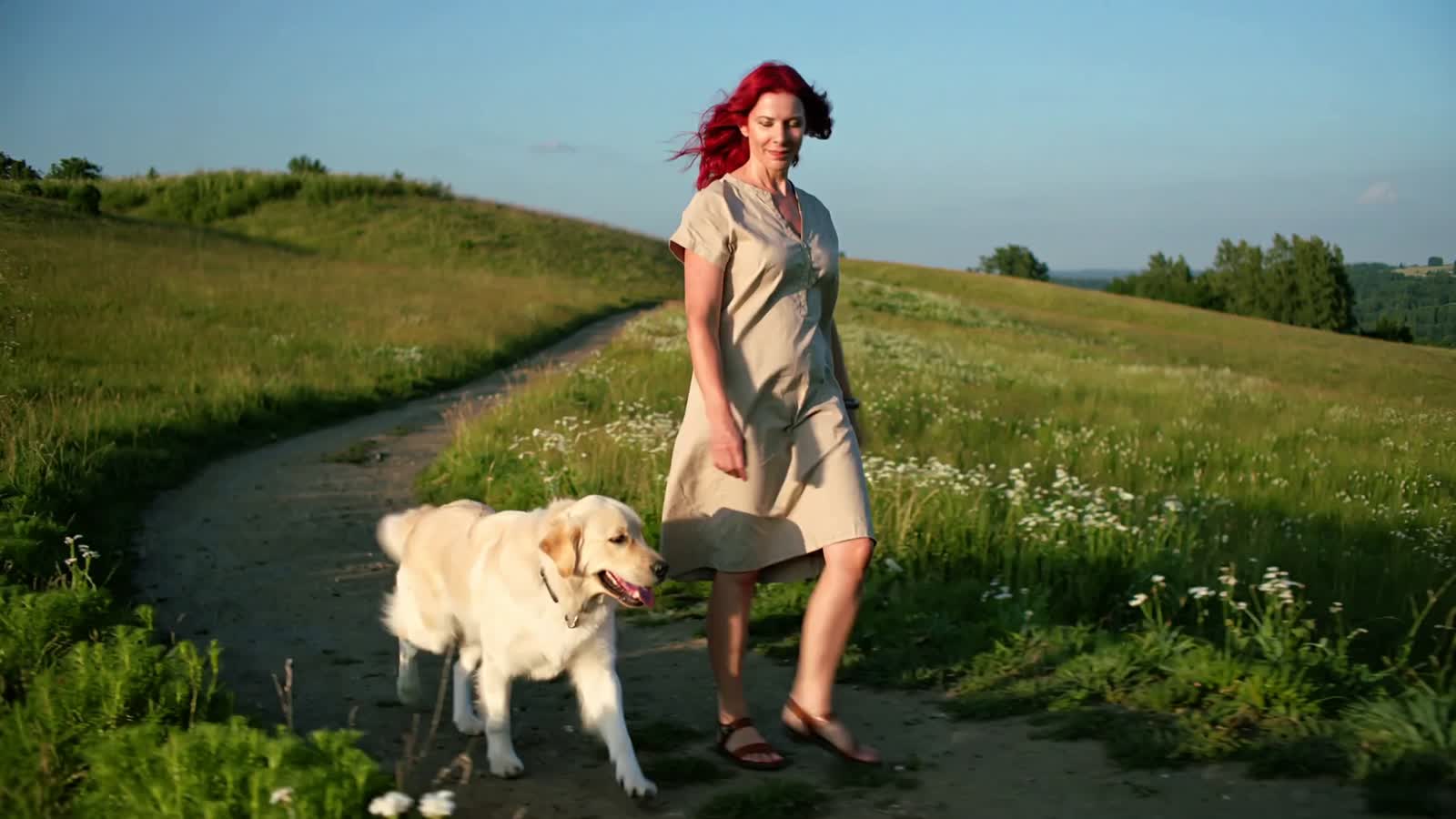A Red hair woman that loves dogs , she is in a small countryside and walks slow with his blond dog that is handle free,t...