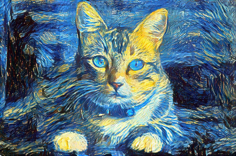 Starry Night Cat