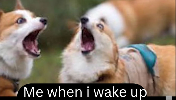 Me when i wake up meme