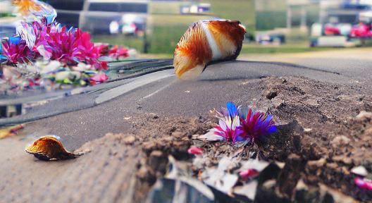 Looking back, he realized he lived a beautiful life