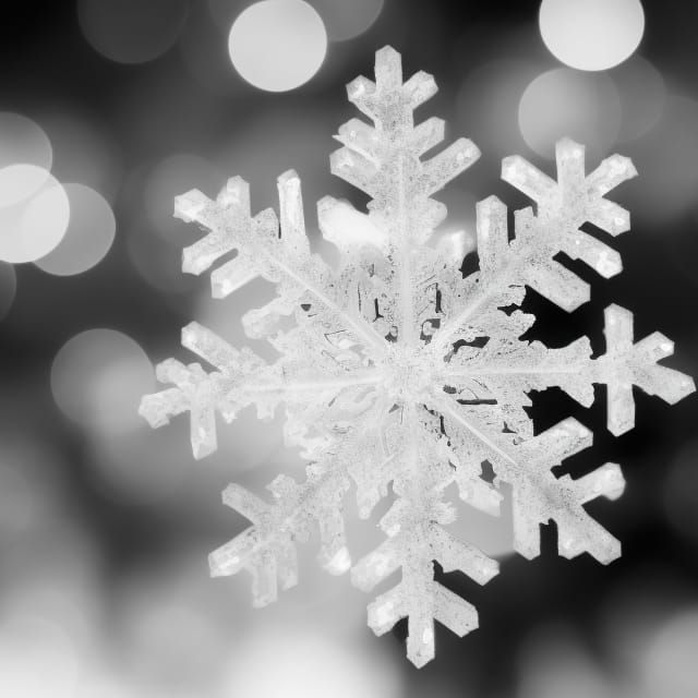 Silver Snowflake