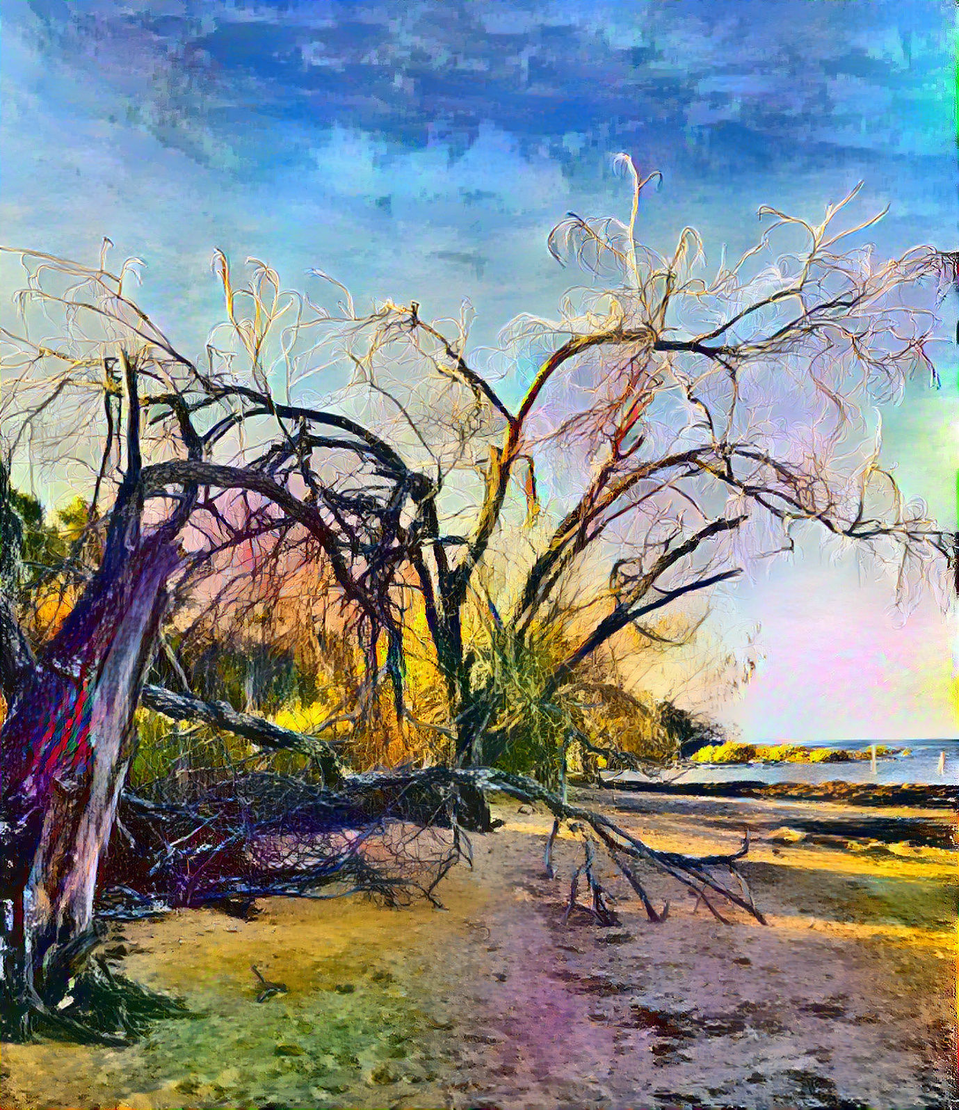 Late afternoon beach