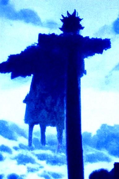 the one who watches
