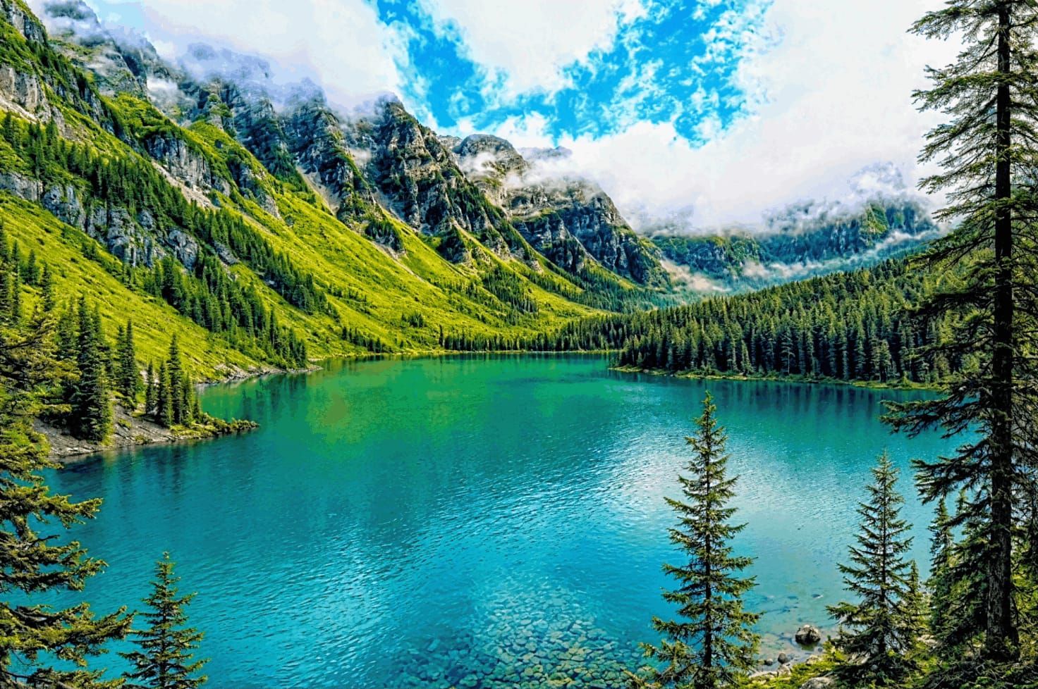 Don't Make Greenland Ours - Make Our Land Green (Again?)