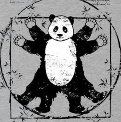 Vitruvian Panda