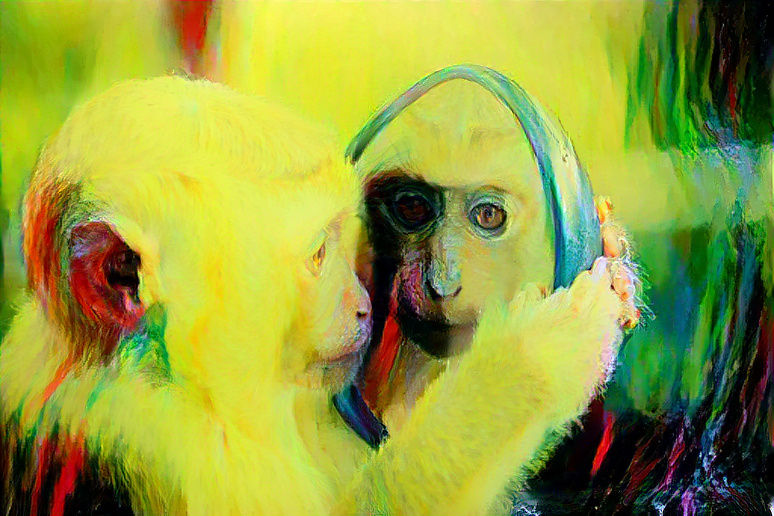 Monkey See Monkey Do