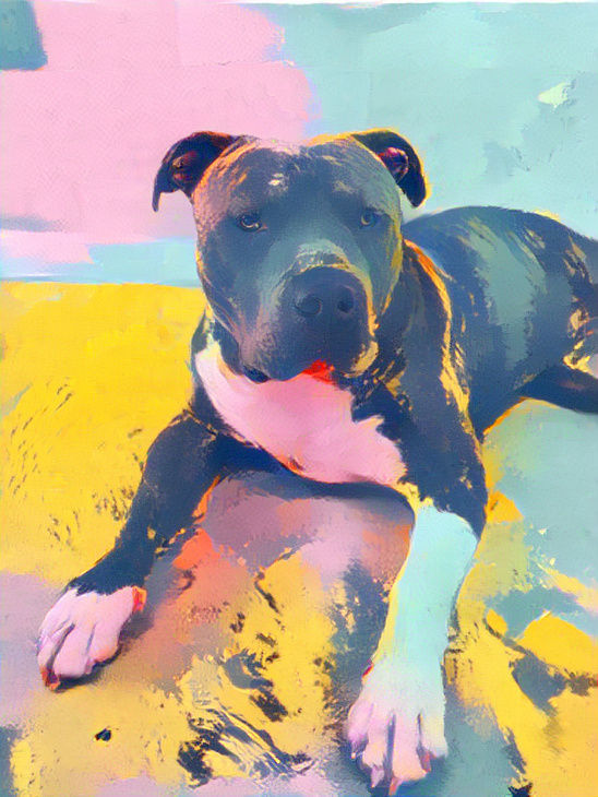 Ze_Dog
