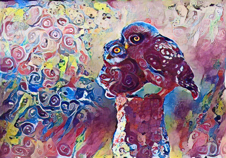 Couple Owls #11