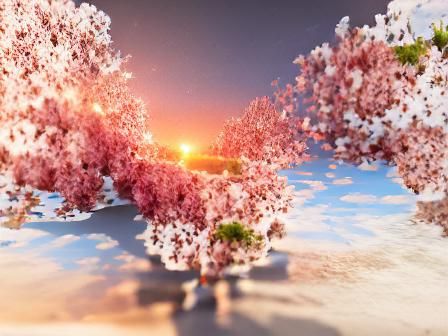 Sunset and Cherry Blossoms