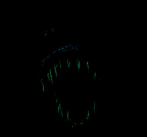 1997 The bloop ominously staring directly at the scared huma...