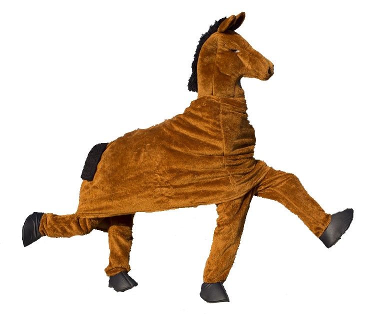 Who's that at the door? 🎼🎉😅