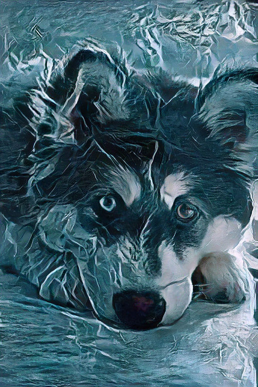 husky