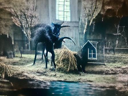 Black Phillip in VVitch - AI Generated Artwork - NightCafe Creator