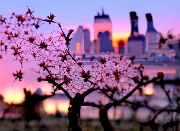 Sunset in New York