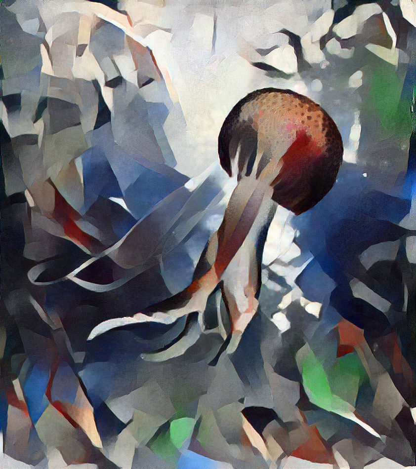 Skewed Sea