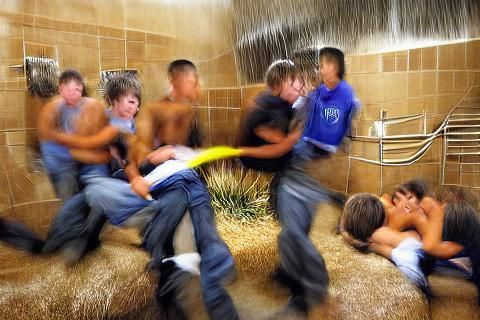 "ram ranch" "tickle fight" "shower time"