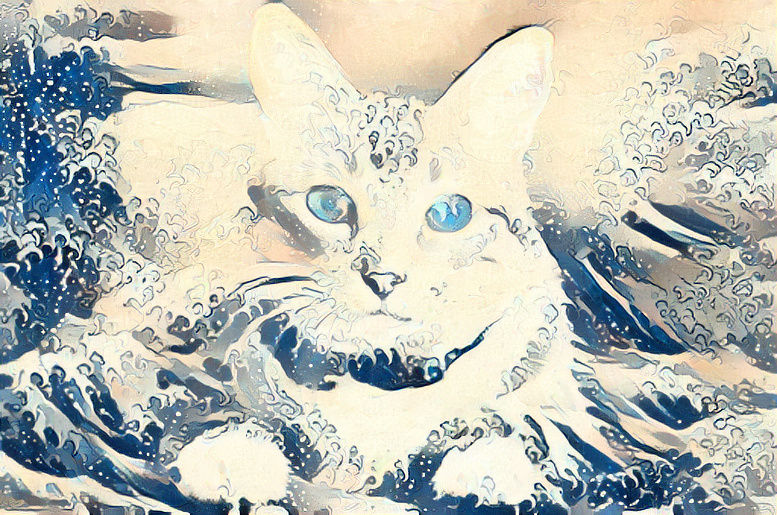 ocean cat