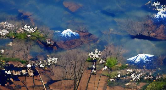 Japanese Spring in the shadow of Mount Fuji