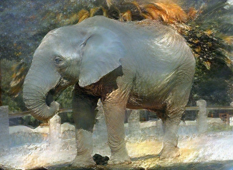 Elefante1