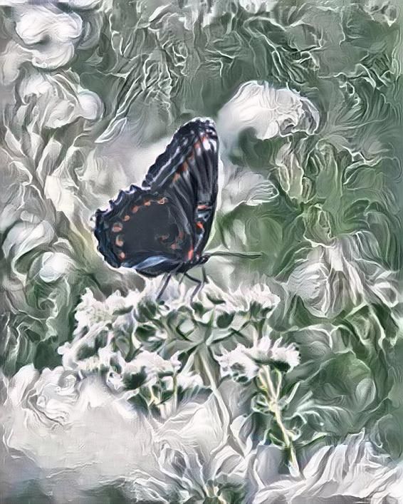 Blossomed Fly 