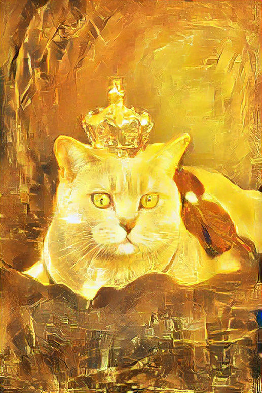 QUEEN CAT