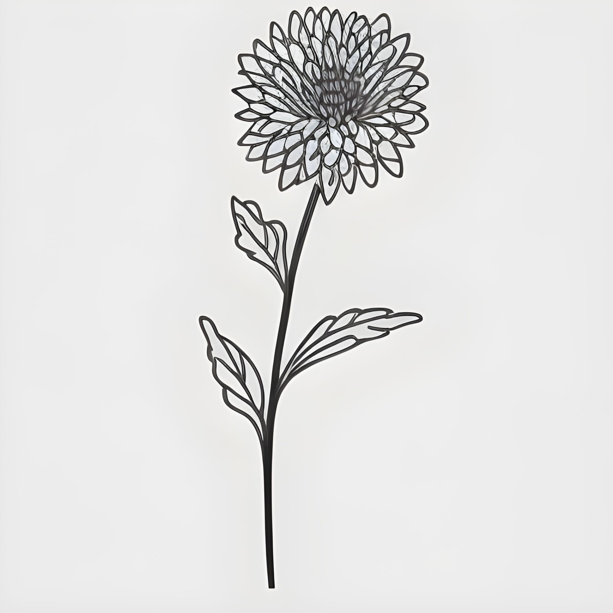 Brown-eyed Susan, Orange Coneflower, Leucanthemum, Chrysanthemum, Daisy  Flower Coloring Pages, Stock Vector - Illustration of line, font: 277331442
