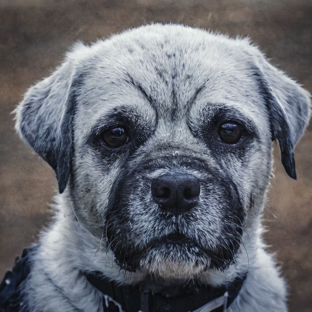 Traveler on Cliffside Overlooking Winter Sea