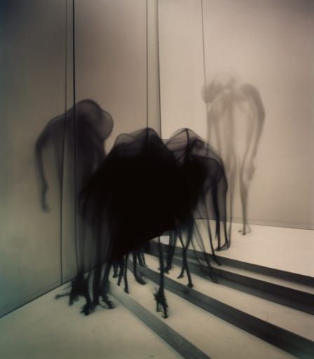 Wraiths Coalescing in Translucent Mesh, Hyperdetailed Photog...