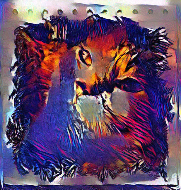 Cat  Art