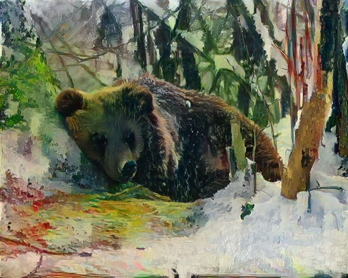 Bear Winter