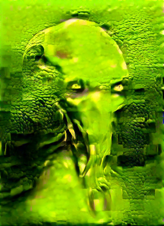 short clip of a style transfer