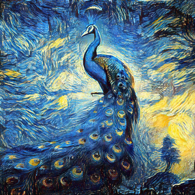 StarryNight Peacock