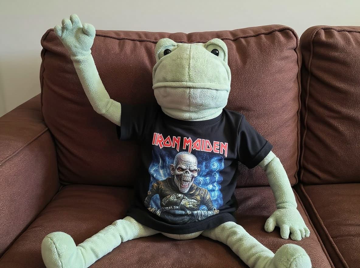Let the frog wear a small Iron Maiden shirt and sit on a comfortable sofa, one arm raised