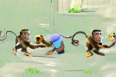 monkey see monkey do