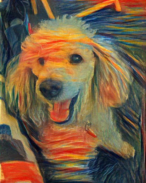 my happy dog