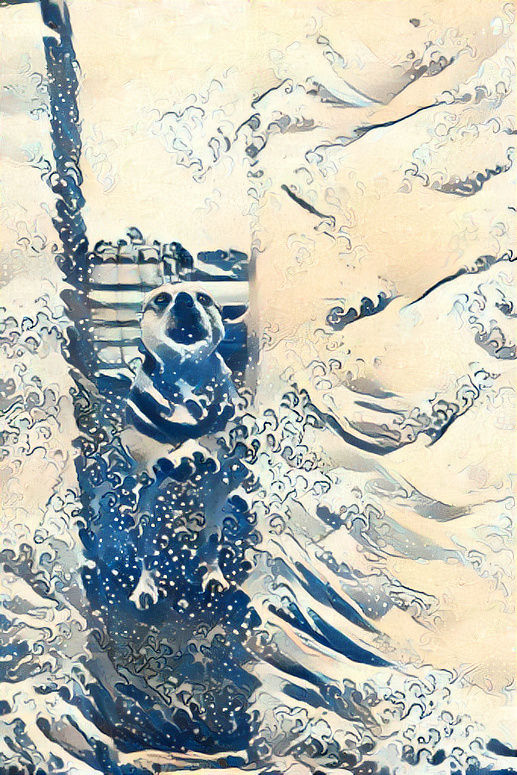 Tsunami Dog