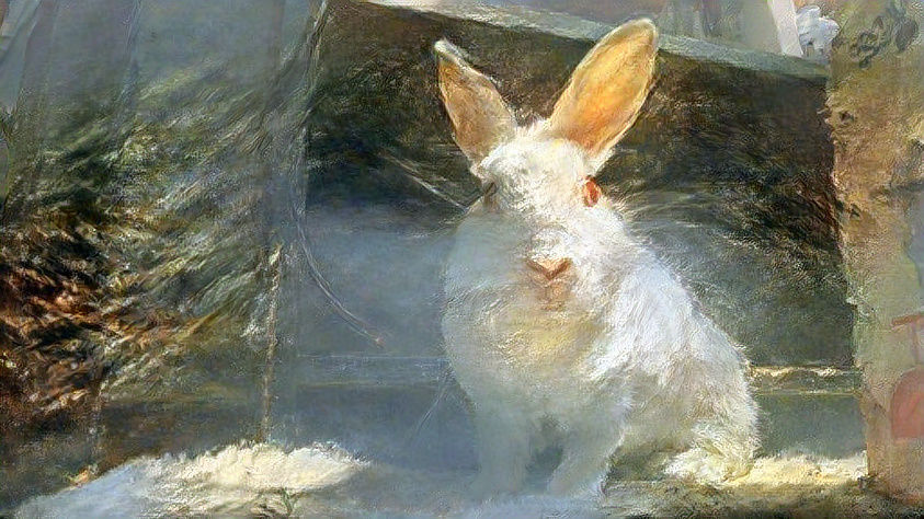 Fierce rabbit