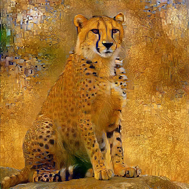 Majestic chitah whatching a pray