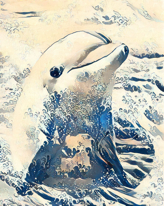 Blue Wave Dolphin 