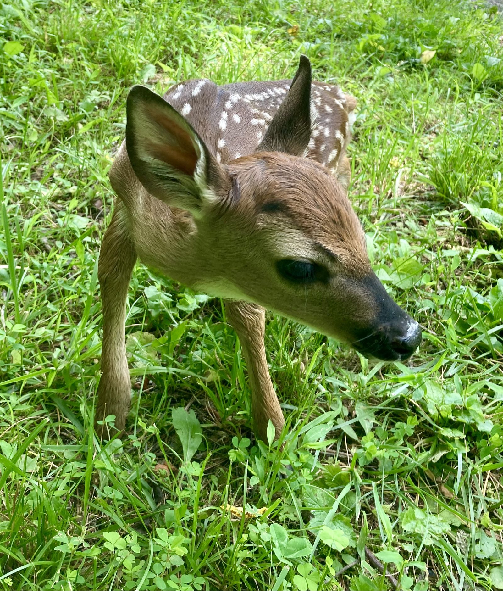 On today’s hike (from nature)