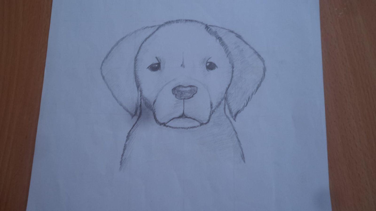 This picture is before and after using (ai)