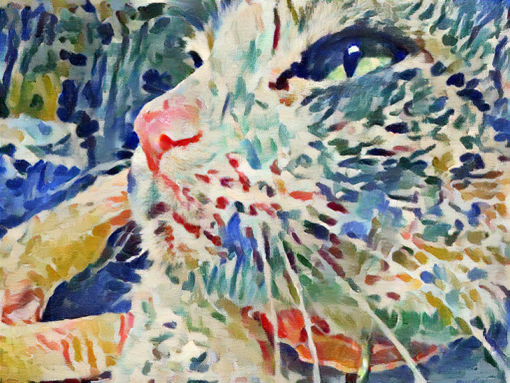 Queen Tigerlily of Collioure