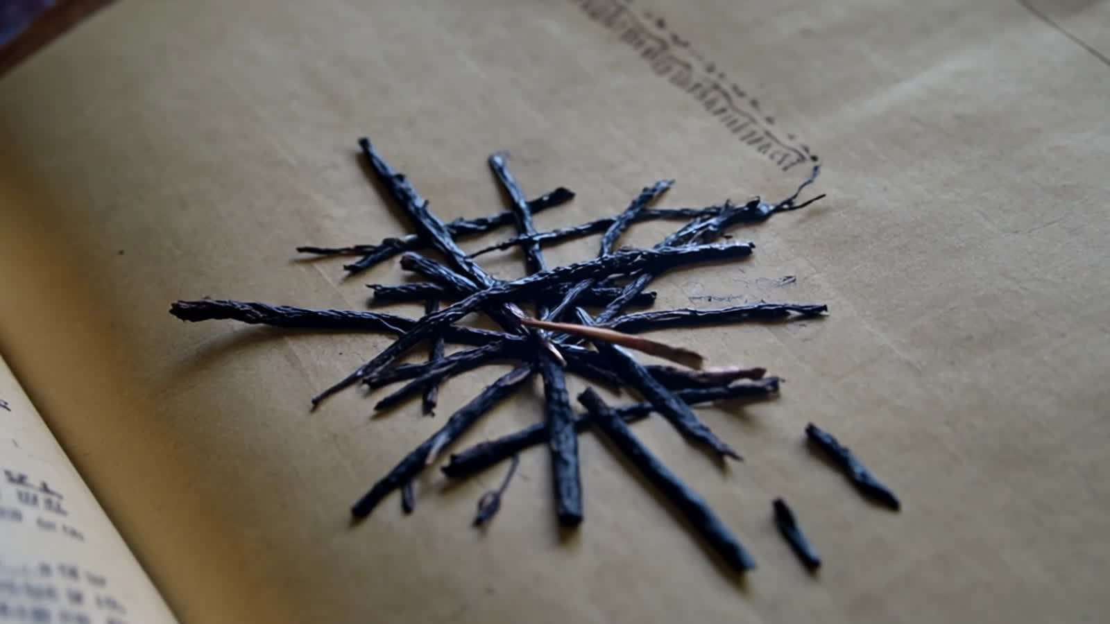 "An ultra-photorealistic, 8K cinematic macro video, showcasing a magical creation from a single touch. The scene opens o...