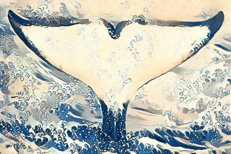 Orca Whale Tail - The Wave