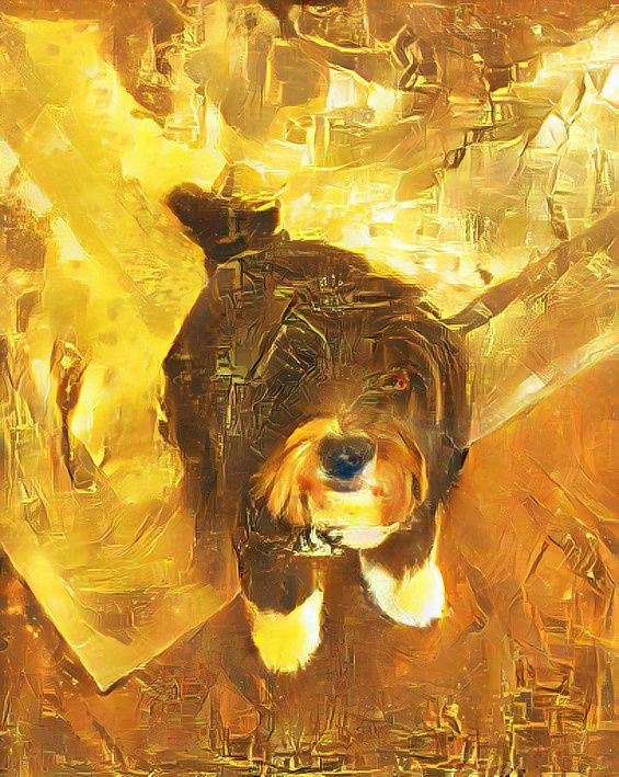 Gold dog