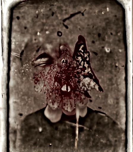 'Self Portrait' Series I.