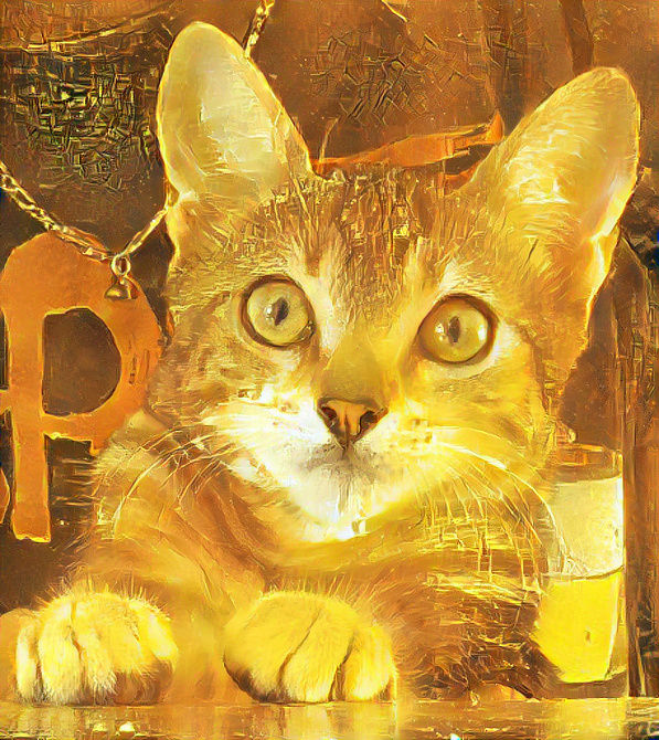 Bitcoin goddess Oreo