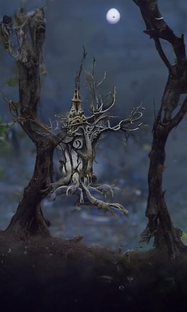 The Ancient Forest